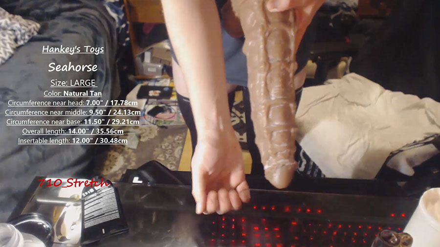 Hankey’s Toys – Riding the Large Seahorse until I cum